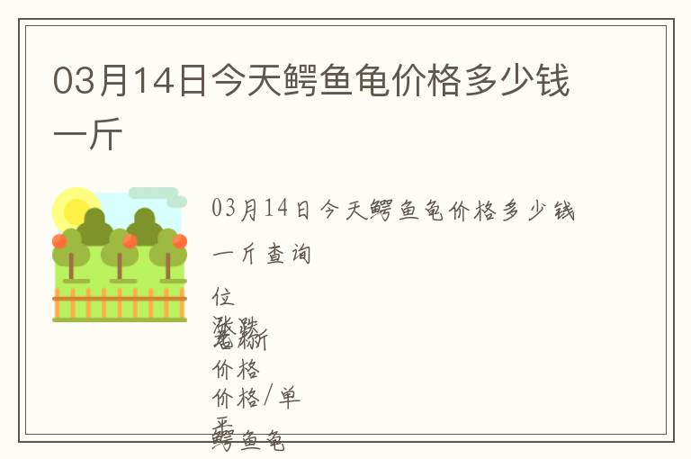 03月14日今天鱷魚龜價格多少錢一斤