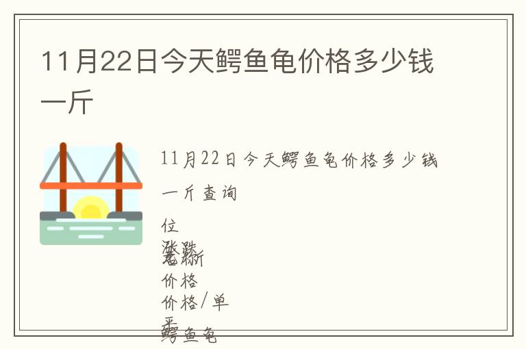 11月22日今天鱷魚龜價格多少錢一斤