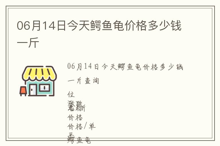 06月14日今天鱷魚龜價格多少錢一斤