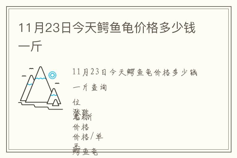 11月23日今天鱷魚龜價格多少錢一斤