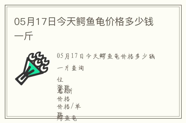 05月17日今天鱷魚龜價格多少錢一斤