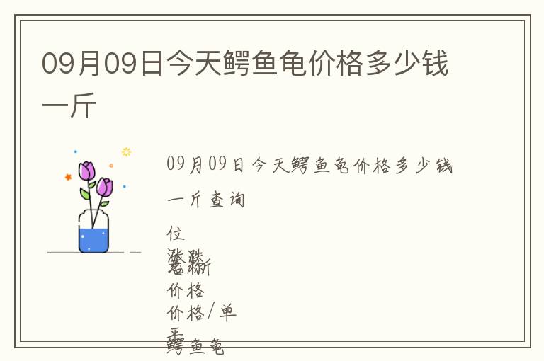 09月09日今天鱷魚龜價格多少錢一斤