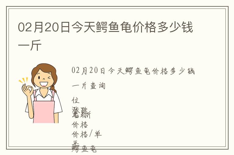 02月20日今天鱷魚龜價格多少錢一斤