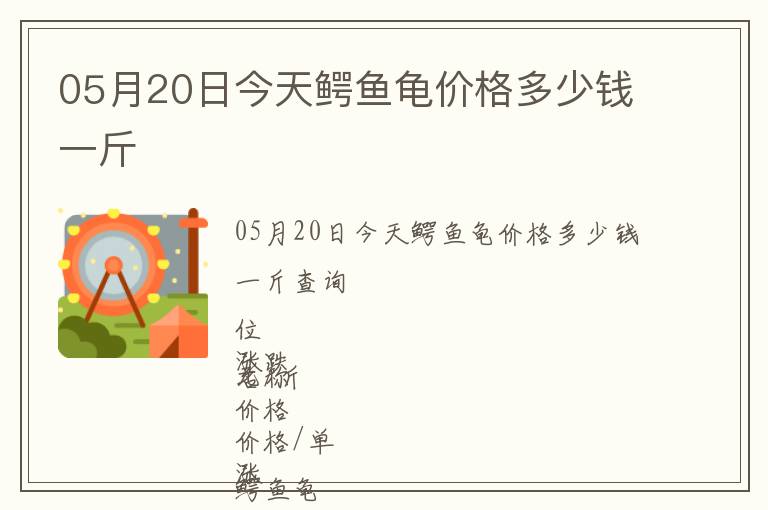 05月20日今天鱷魚龜價格多少錢一斤