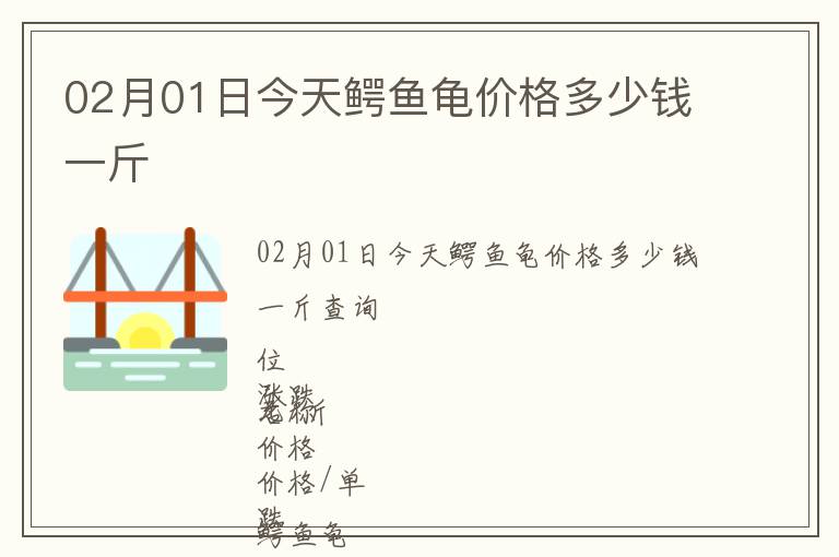 02月01日今天鱷魚龜價格多少錢一斤