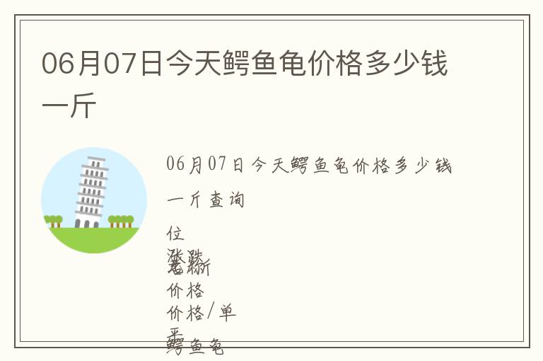 06月07日今天鱷魚龜價格多少錢一斤