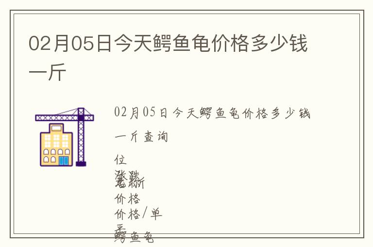 02月05日今天鱷魚龜價格多少錢一斤