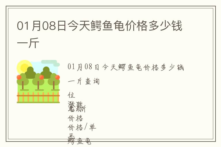 01月08日今天鱷魚龜價格多少錢一斤