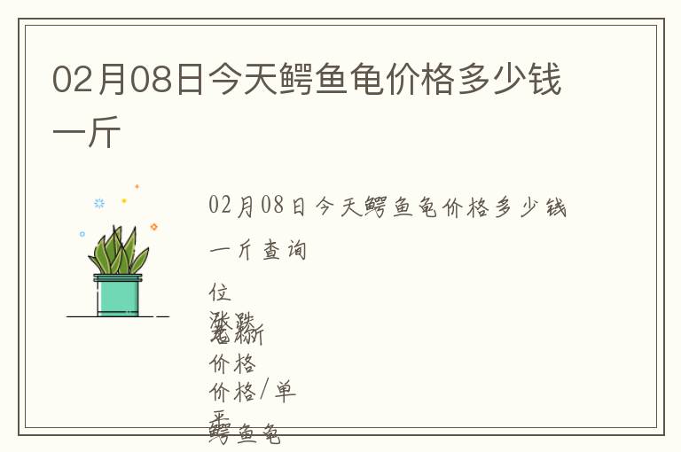 02月08日今天鱷魚龜價格多少錢一斤