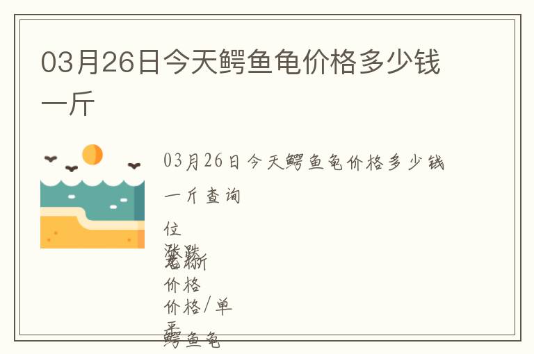 03月26日今天鱷魚(yú)龜價(jià)格多少錢(qián)一斤