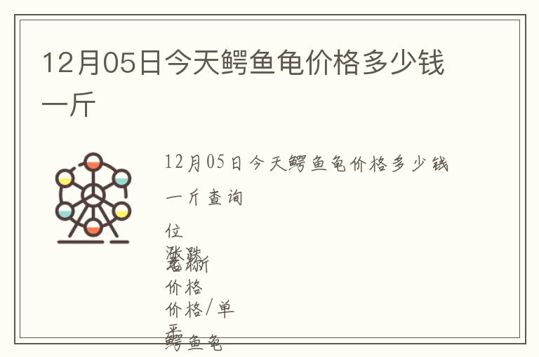 12月05日今天鱷魚龜價格多少錢一斤