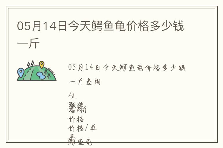 05月14日今天鱷魚龜價格多少錢一斤