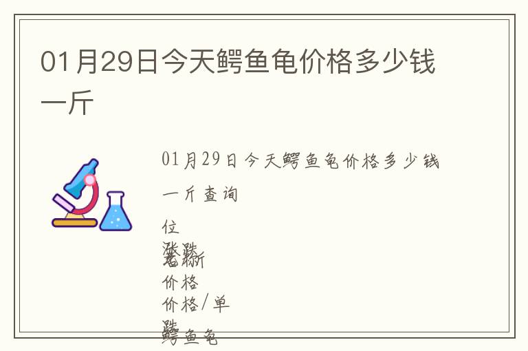 01月29日今天鱷魚龜價格多少錢一斤