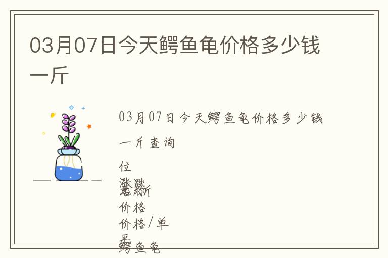 03月07日今天鱷魚龜價格多少錢一斤