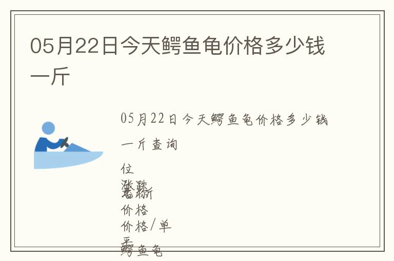 05月22日今天鱷魚龜價格多少錢一斤