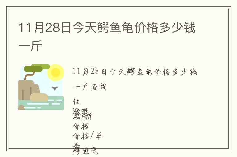 11月28日今天鱷魚龜價格多少錢一斤