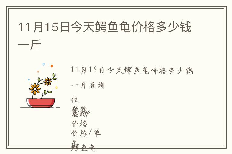 11月15日今天鱷魚龜價格多少錢一斤