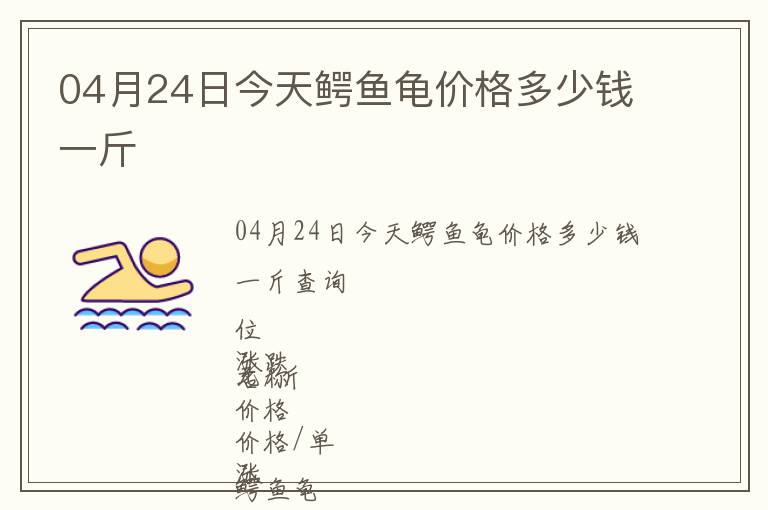 04月24日今天鱷魚龜價格多少錢一斤