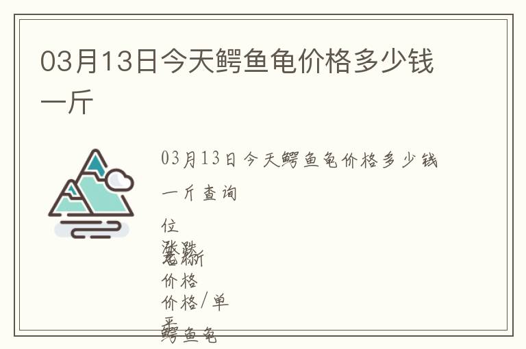 03月13日今天鱷魚龜價格多少錢一斤