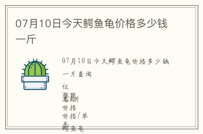 07月10日今天鱷魚龜價格多少錢一斤