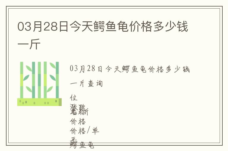 03月28日今天鱷魚龜價格多少錢一斤