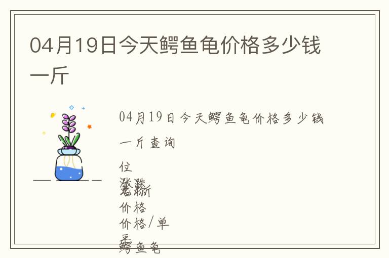 04月19日今天鱷魚龜價格多少錢一斤