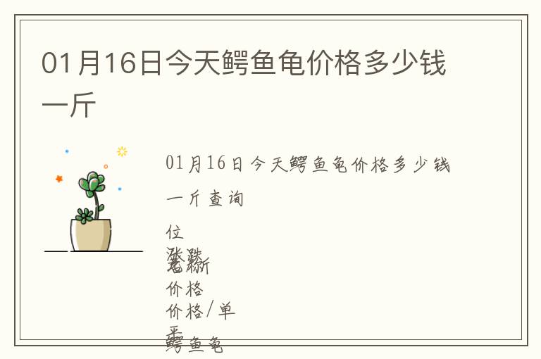 01月16日今天鱷魚龜價格多少錢一斤