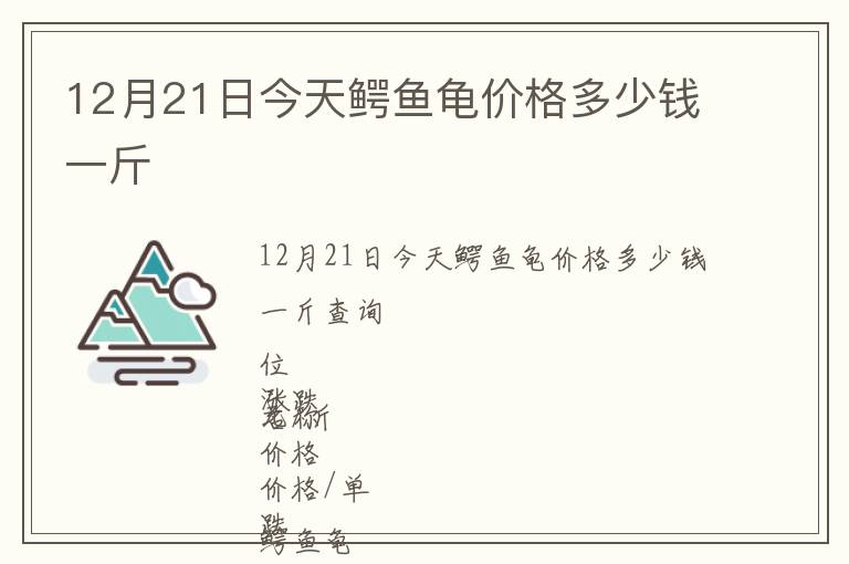 12月21日今天鱷魚龜價格多少錢一斤