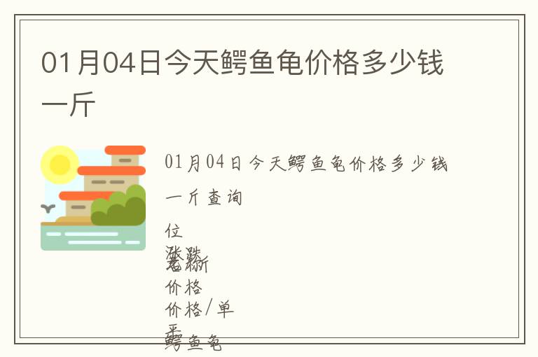 01月04日今天鱷魚龜價格多少錢一斤