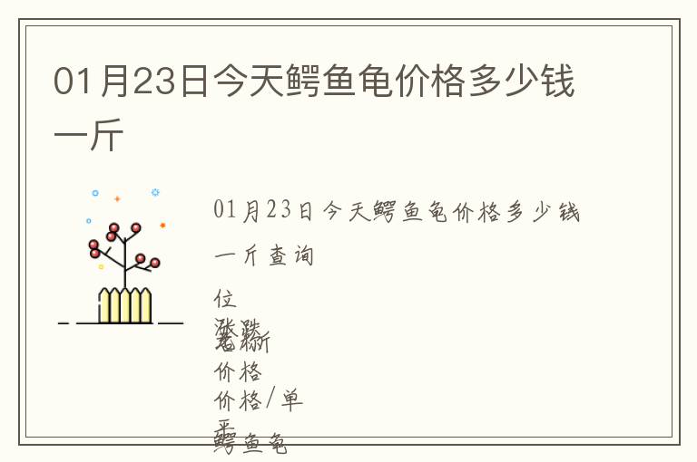 01月23日今天鱷魚龜價格多少錢一斤