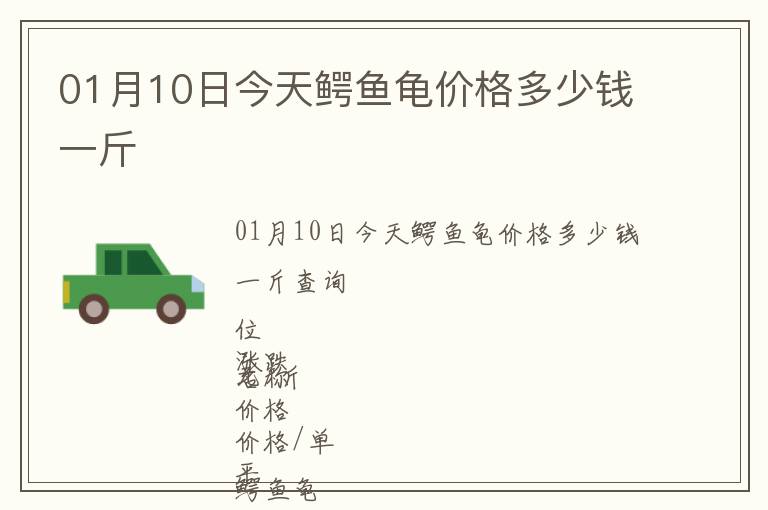 01月10日今天鱷魚(yú)龜價(jià)格多少錢(qián)一斤