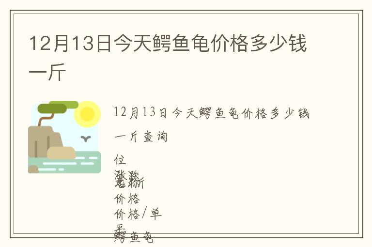 12月13日今天鱷魚龜價格多少錢一斤