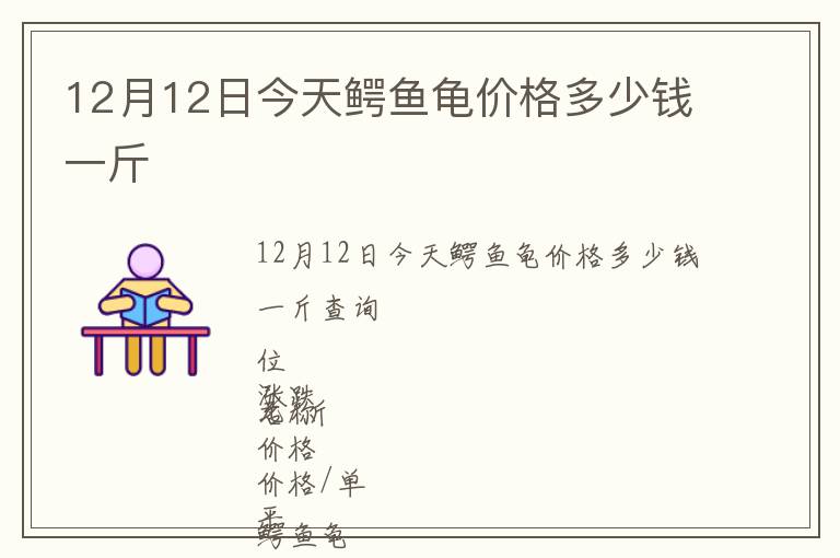 12月12日今天鱷魚龜價格多少錢一斤