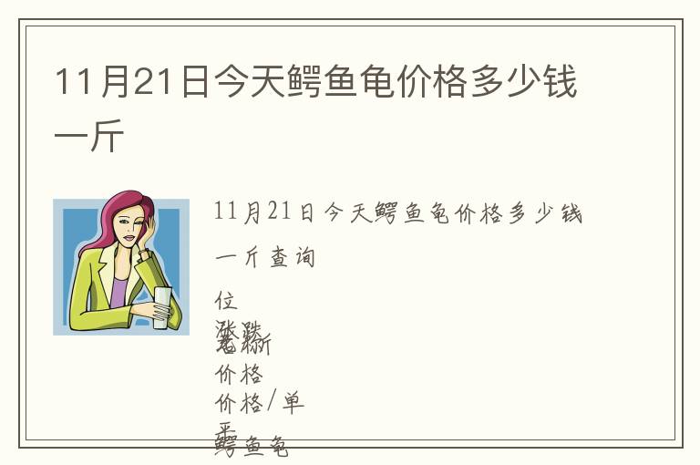 11月21日今天鱷魚龜價格多少錢一斤