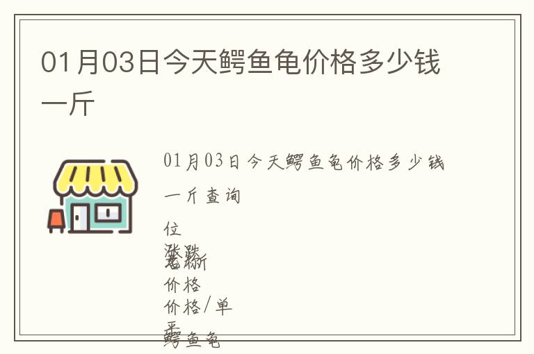 01月03日今天鱷魚龜價(jià)格多少錢一斤