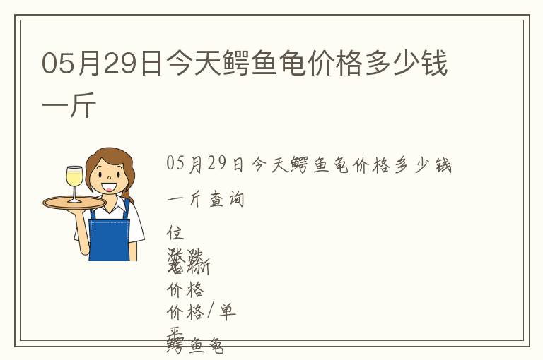 05月29日今天鱷魚龜價(jià)格多少錢一斤