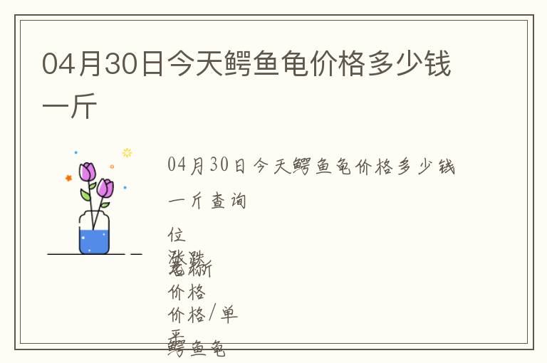 04月30日今天鱷魚龜價格多少錢一斤