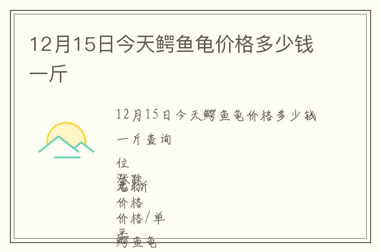 12月15日今天鱷魚龜價格多少錢一斤