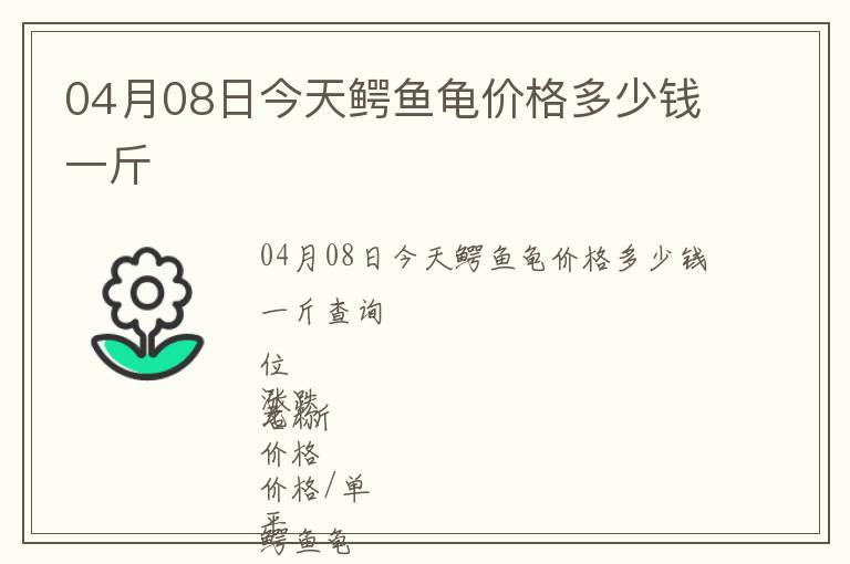 04月08日今天鱷魚龜價格多少錢一斤