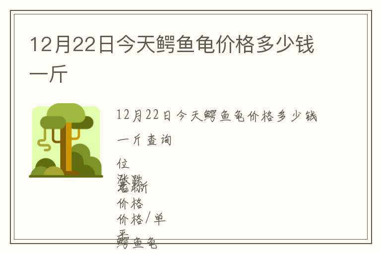 12月22日今天鱷魚龜價格多少錢一斤