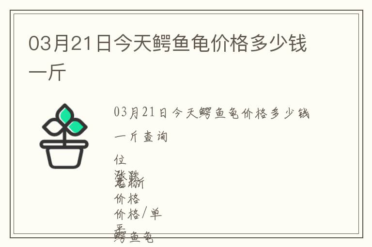 03月21日今天鱷魚龜價格多少錢一斤