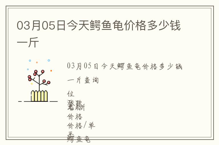 03月05日今天鱷魚龜價格多少錢一斤