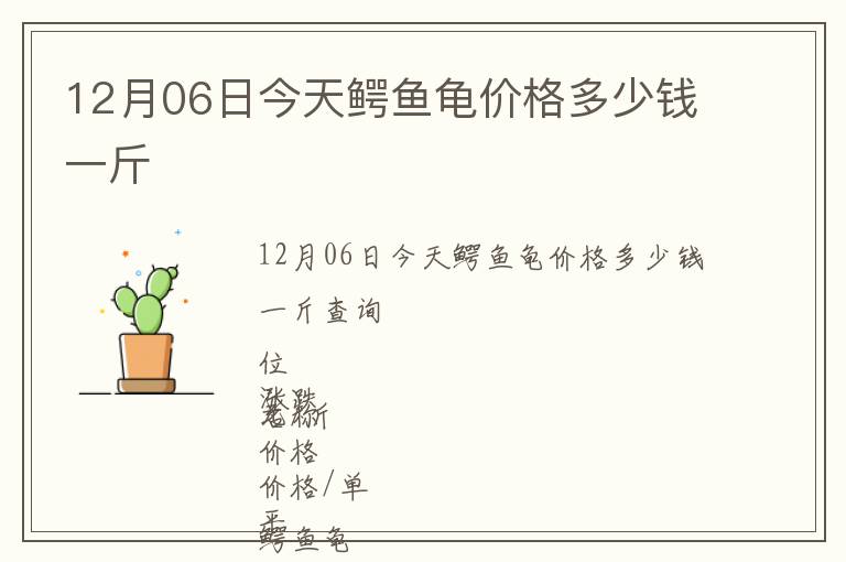 12月06日今天鱷魚龜價(jià)格多少錢一斤