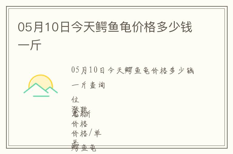 05月10日今天鱷魚龜價格多少錢一斤