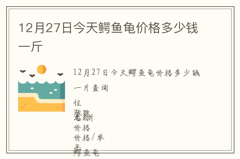 12月27日今天鱷魚龜價格多少錢一斤