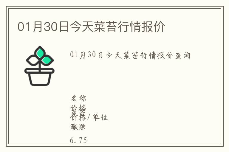 01月30日今天菜苔行情報價