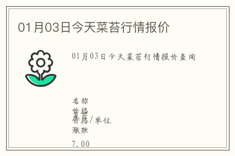 01月03日今天菜苔行情報價