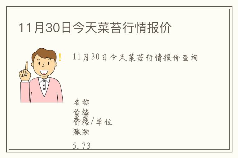 11月30日今天菜苔行情報價