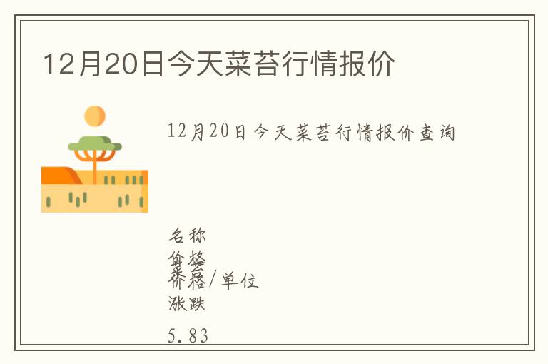 12月20日今天菜苔行情報價