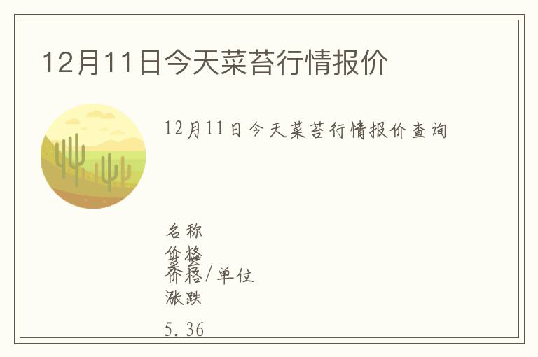 12月11日今天菜苔行情報價